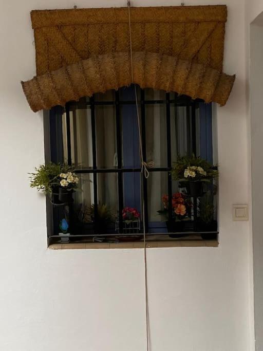 Hispalis Casa Pilatos Sevilla Bagian luar foto