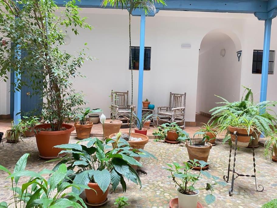 Hispalis Casa Pilatos Sevilla Bagian luar foto